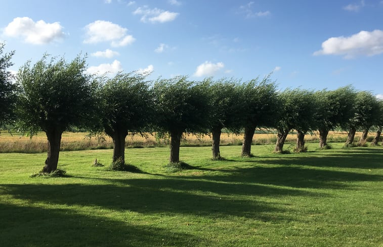 Natuurhuisje in Wehe-den Hoorn