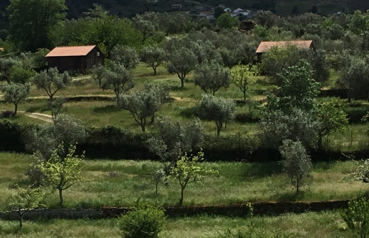 Natuurhuisje in Nabais - Guarda