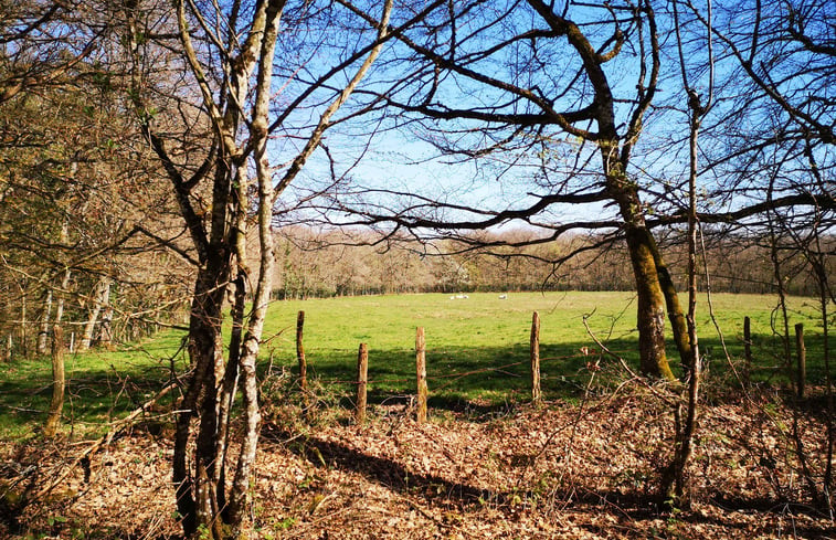 Natuurhuisje in Antully