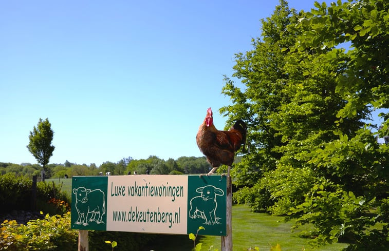 Natuurhuisje in Keutenberg-Schin op Geul