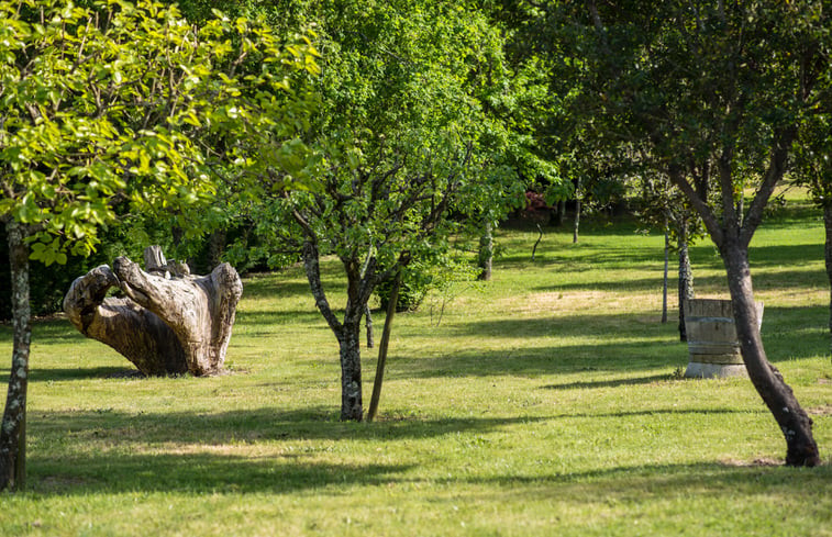 Natuurhuisje in Vilar Seco, Nelas