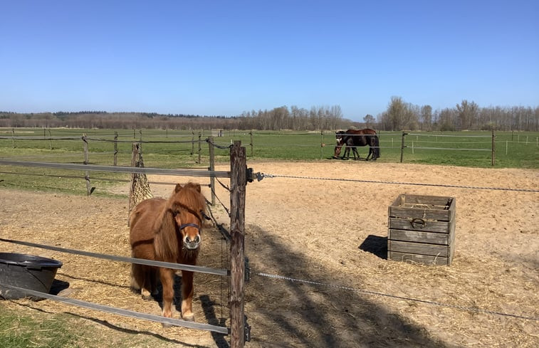 Natuurhuisje in Markelo