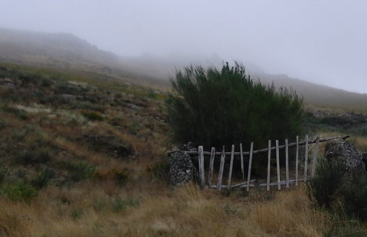 Natuurhuisje in Aliviada e Folhada Marco de Canaveses