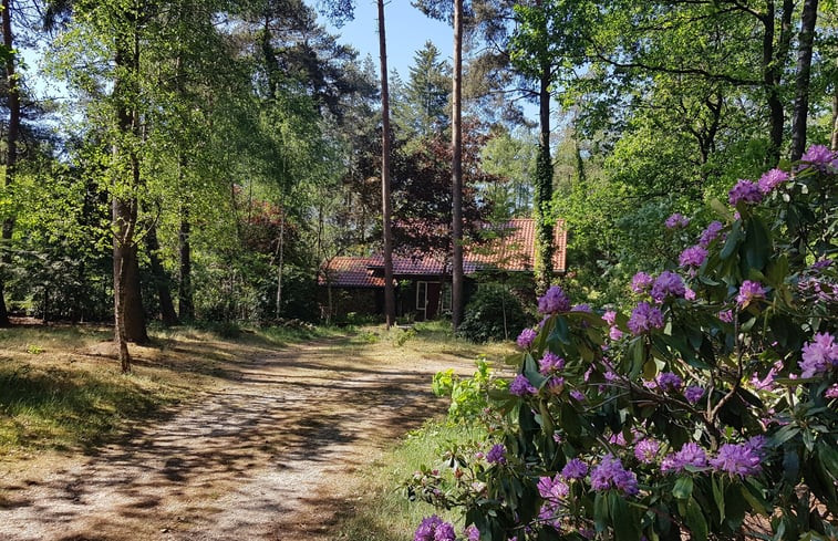 Natuurhuisje in Otterlo