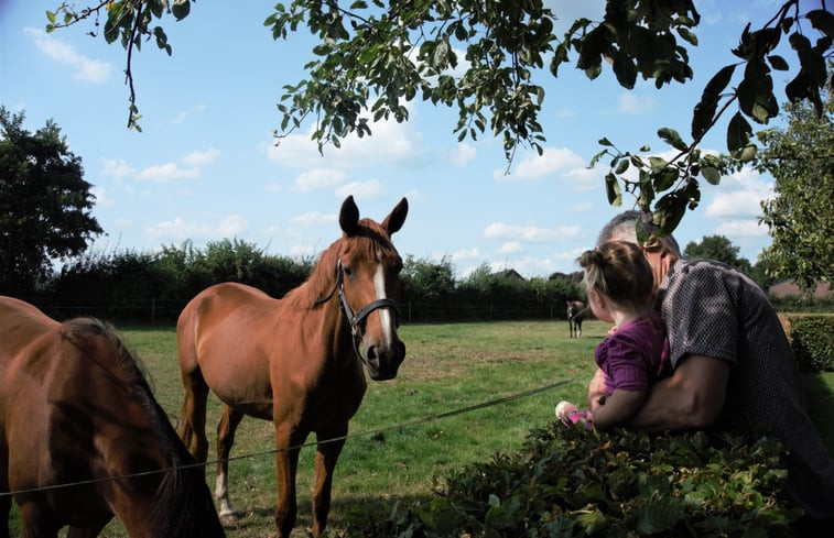 Natuurhuisje in Roggel