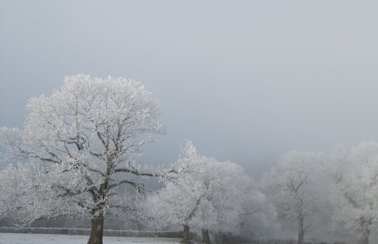 Natuurhuisje in Le Vernay, Sémelay