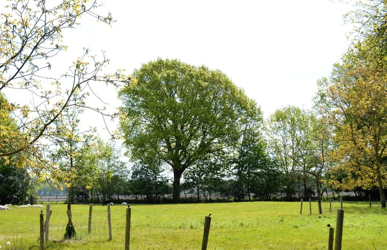 Natuurhuisje in Diever