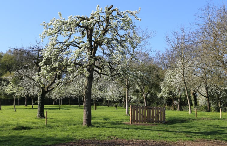 Natuurhuisje in Vijlen