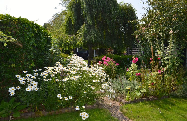 Natuurhuisje in Bergen