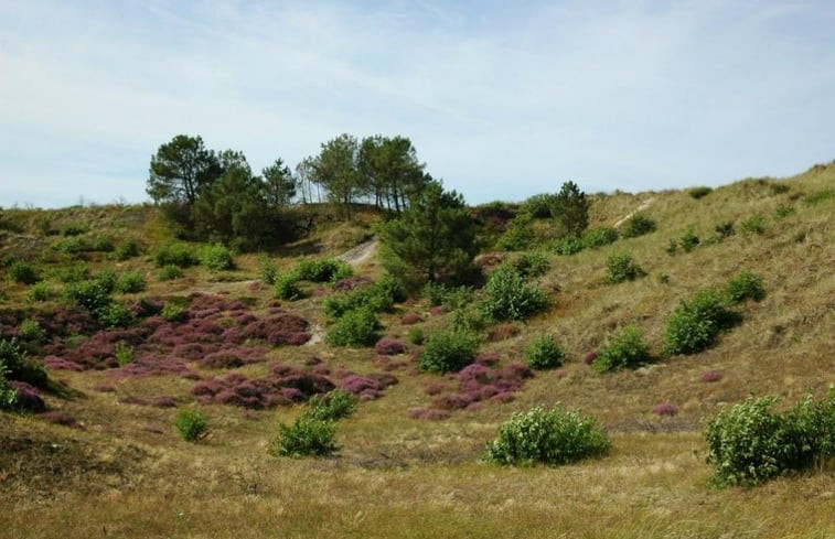 Natuurhuisje in Groet