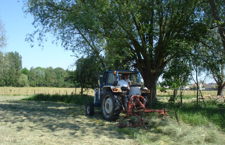 Natuurhuisje in Zerkegem