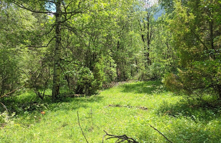 Natuurhuisje in Terre Rouge - Cervieres