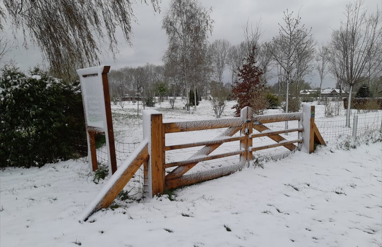 Natuurhuisje in Heeswijk - Dinther