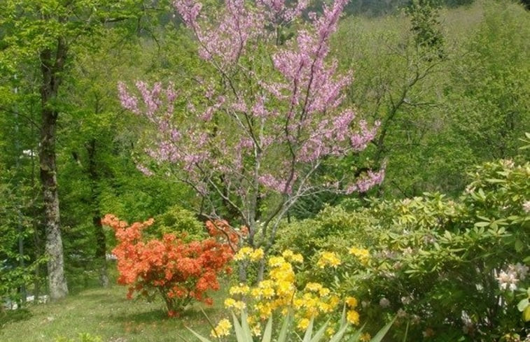 Natuurhuisje in Borzonasca