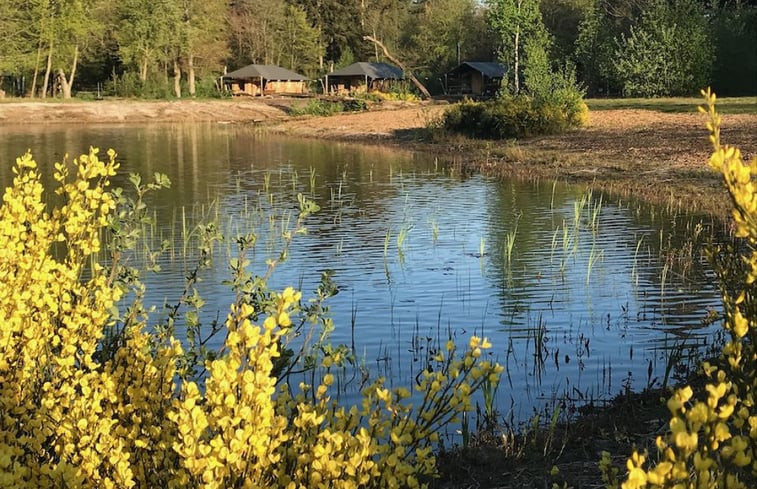 Natuurhuisje in Westerbork