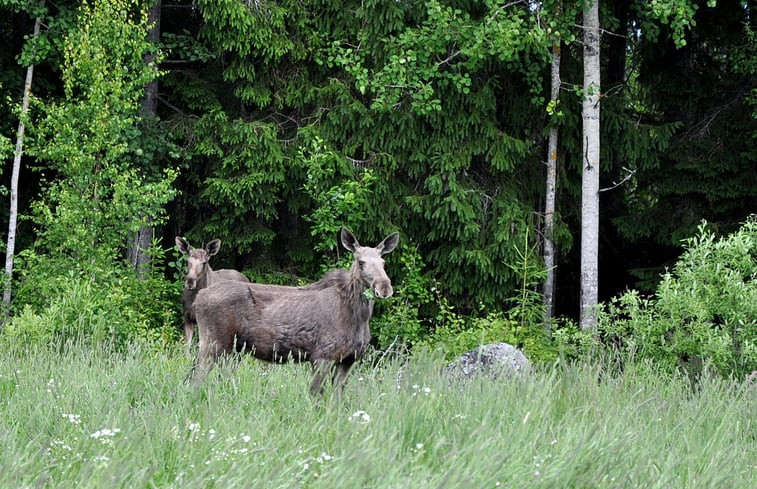 Natuurhuisje in Skultuna