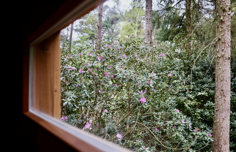 Natuurhuisje in Putte