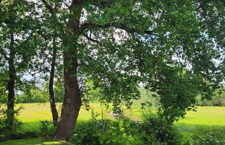 Natuurhuisje in Giethmen