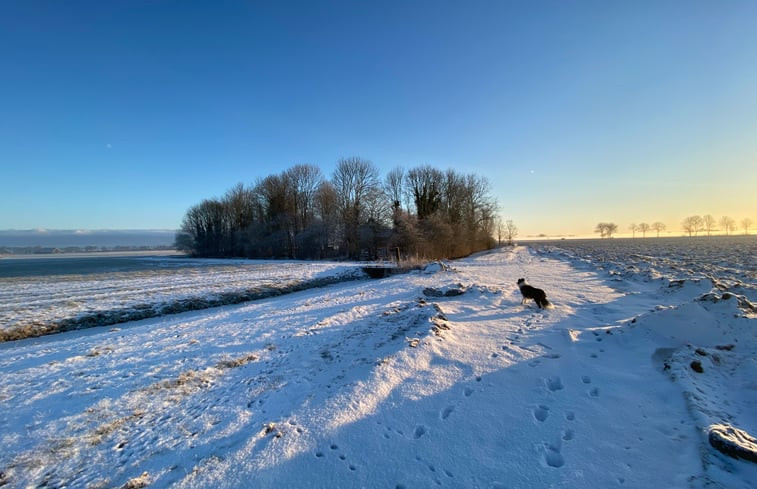 Natuurhuisje in Winsum