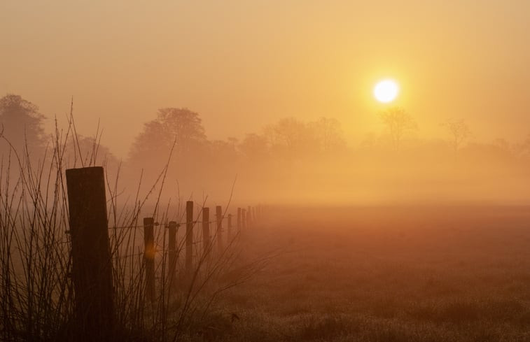 Natuurhuisje in Meppen