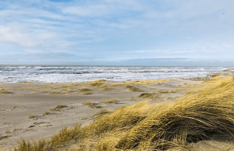 Natuurhuisje in Schoorl