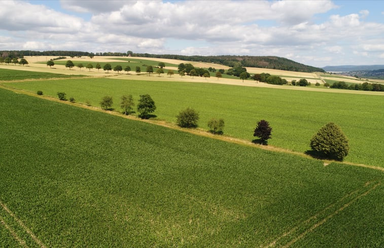 Natuurhuisje in Extertal