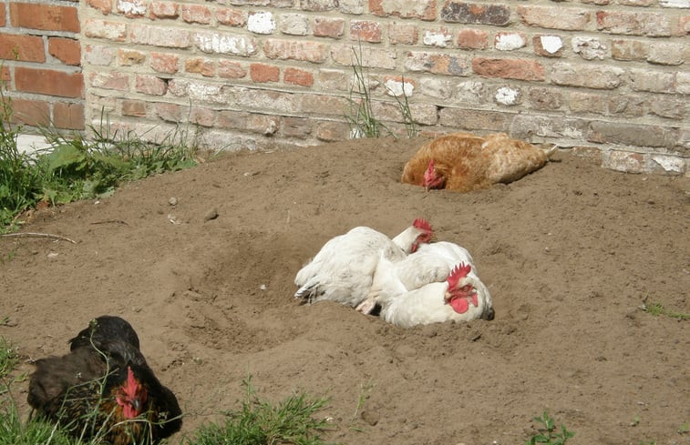 Natuurhuisje in Zerkegem