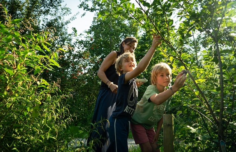 Natuurhuisje in Nes (gem Heerenveen)