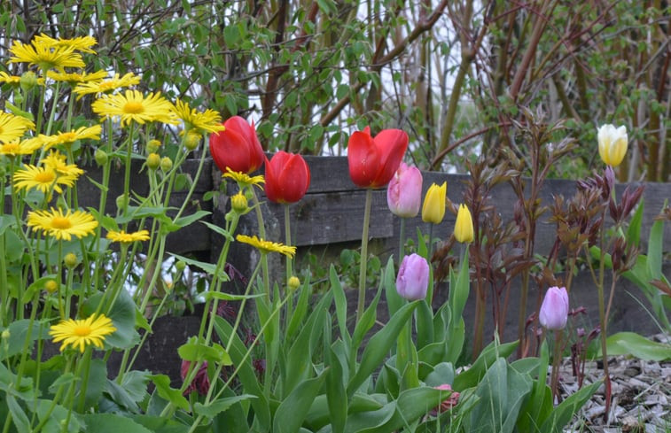 Natuurhuisje in Schmallenberg-Dorlar