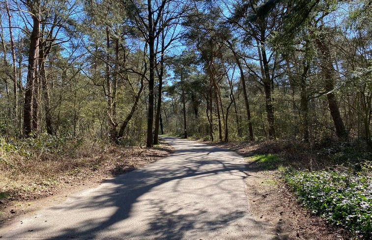 Natuurhuisje in Ommen