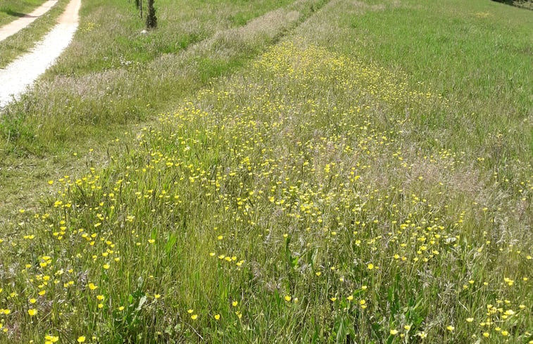 Natuurhuisje in San Severino Marche