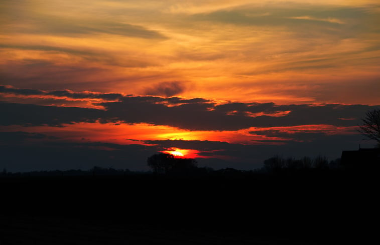 Natuurhuisje in Nijewier