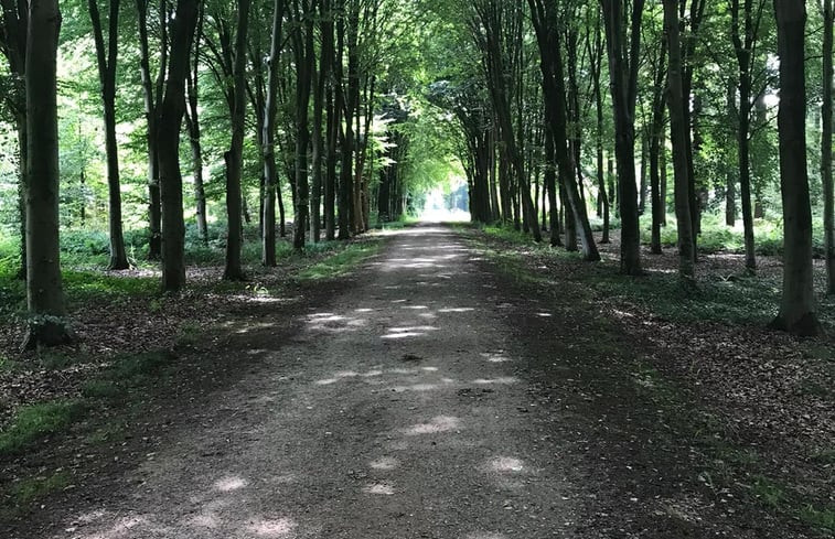 Natuurhuisje in Voorstonden Gem. Brummen