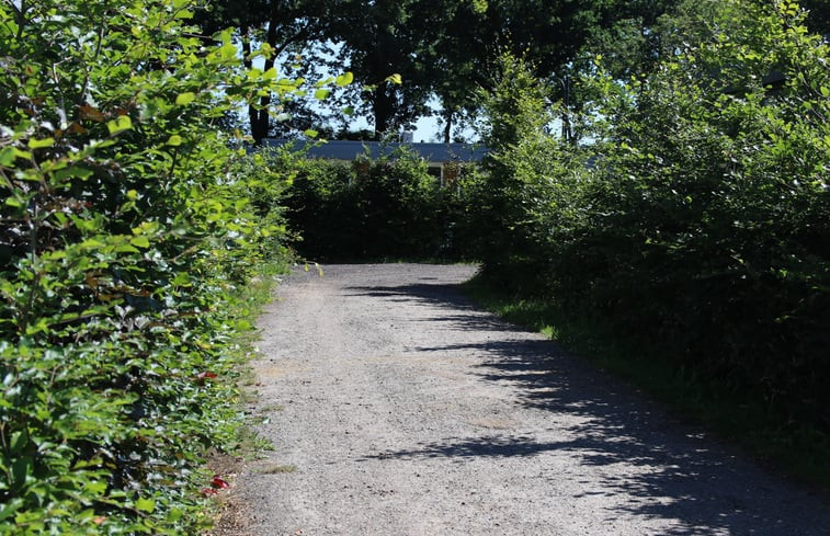 Natuurhuisje in Den Ham