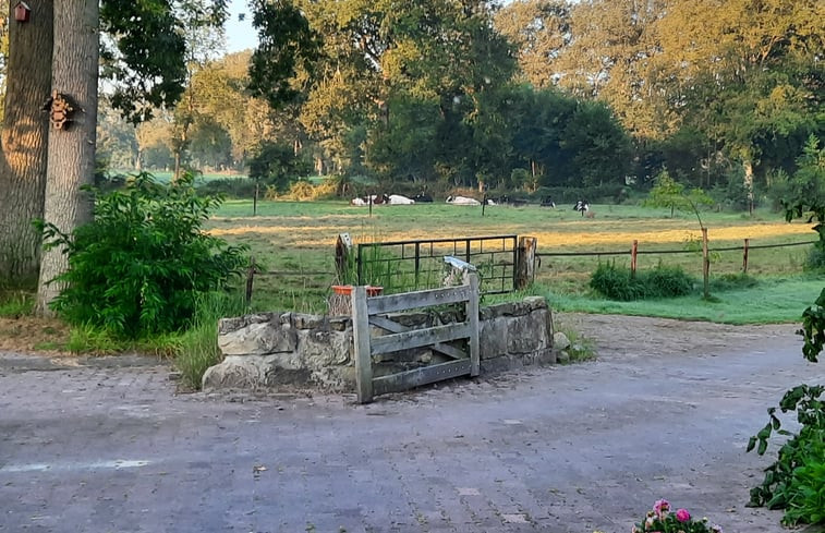 Natuurhuisje in de Lutte