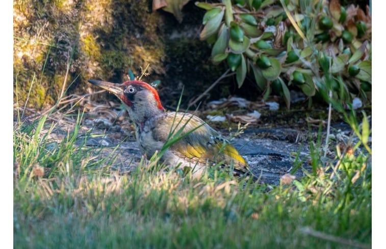 Natuurhuisje in Lubersac