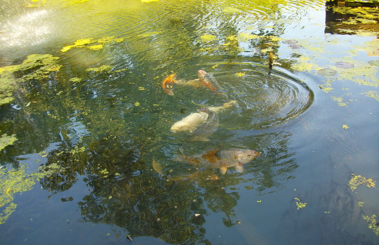 Natuurhuisje in Hagestein