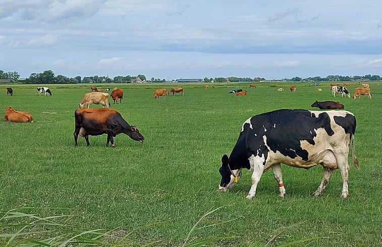 Natuurhuisje in Jannum bij Dokkum