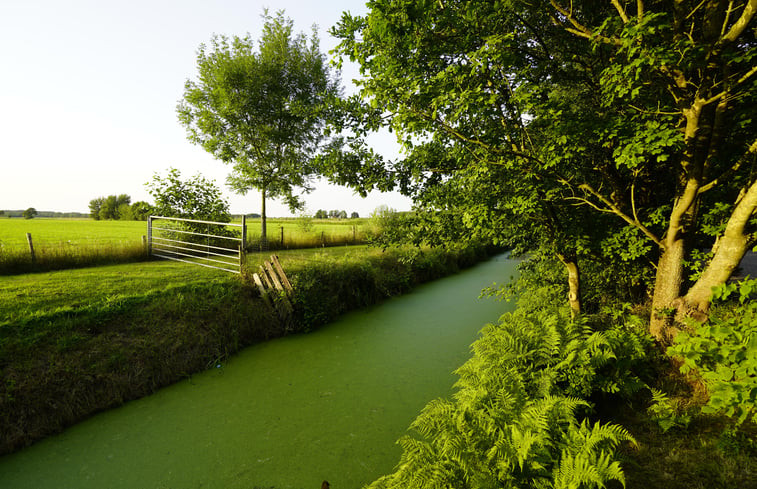 Natuurhuisje in Tjalleberd