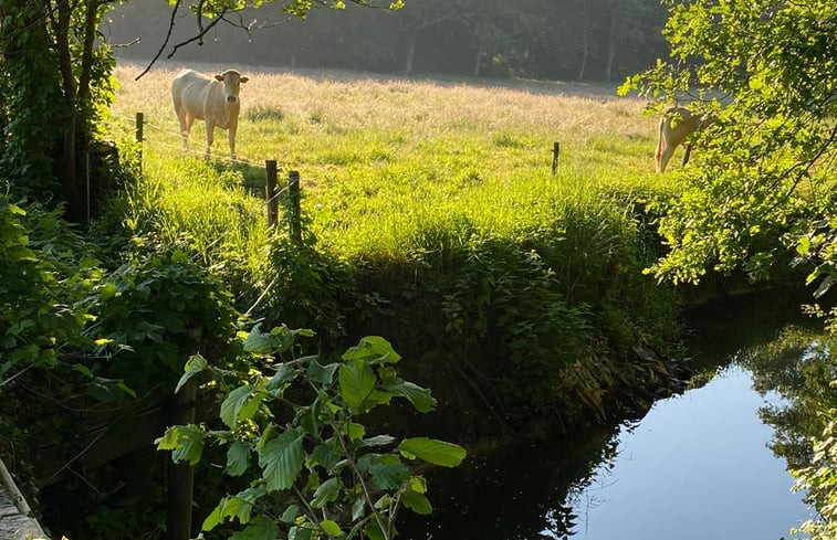 Natuurhuisje in Ulvenhout Ac