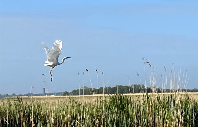 Natuurhuisje in Kalenberg