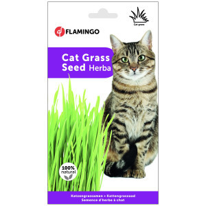 Kattengras 3 x 100 g