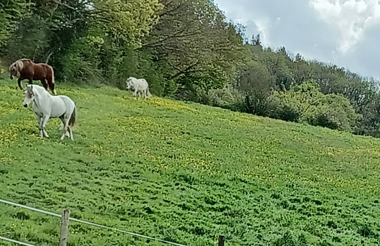 Natuurhuisje in LE BÔ