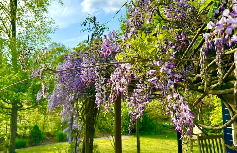 Natuurhuisje in Winterswijk