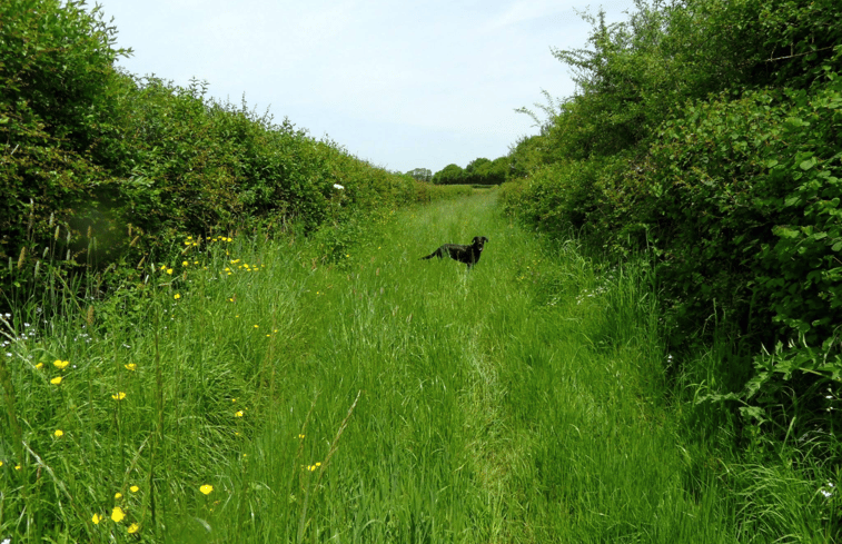 Natuurhuisje in Marigny Sur Yonne