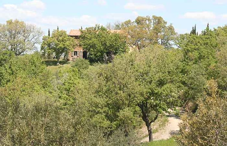 Natuurhuisje in Castiglioncello Bandini