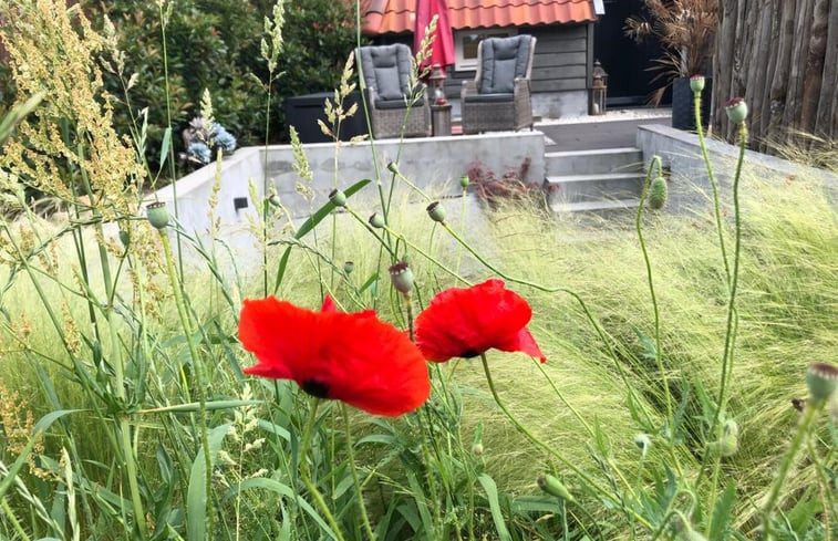 Natuurhuisje in Vorstenbosch