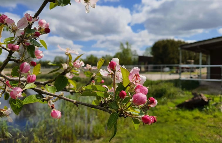 Natuurhuisje in Großefehn