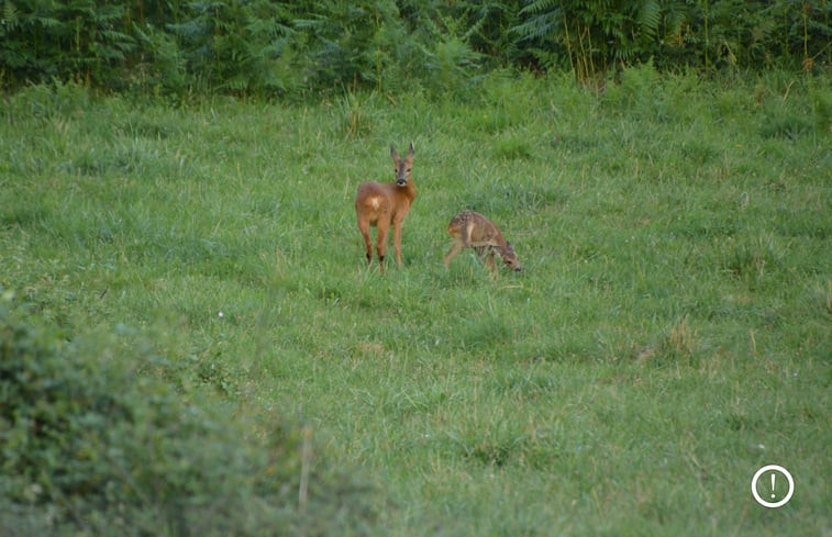 Natuurhuisje in Fresselines