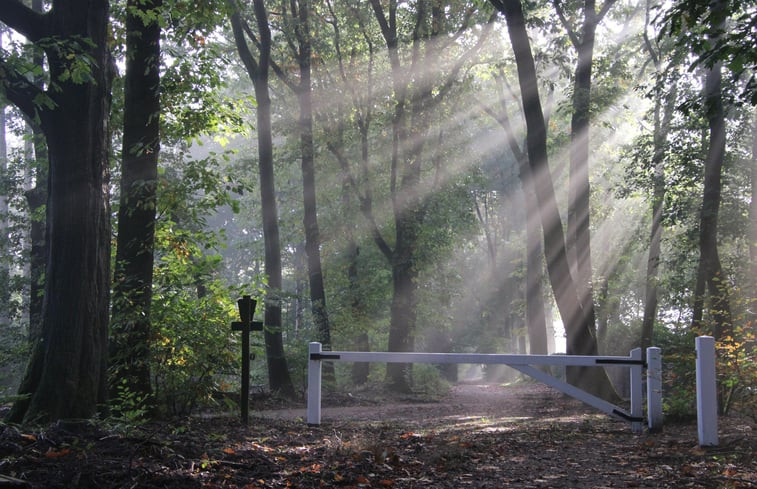 Natuurhuisje in Epe